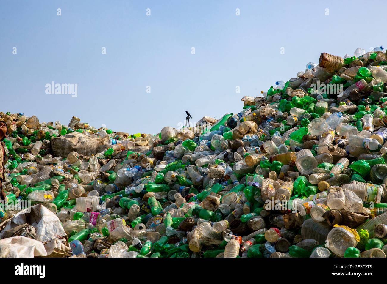 Bottiglie di plastica raccolte per il riciclaggio a Brahmanbaria, Bangladesh. Foto Stock