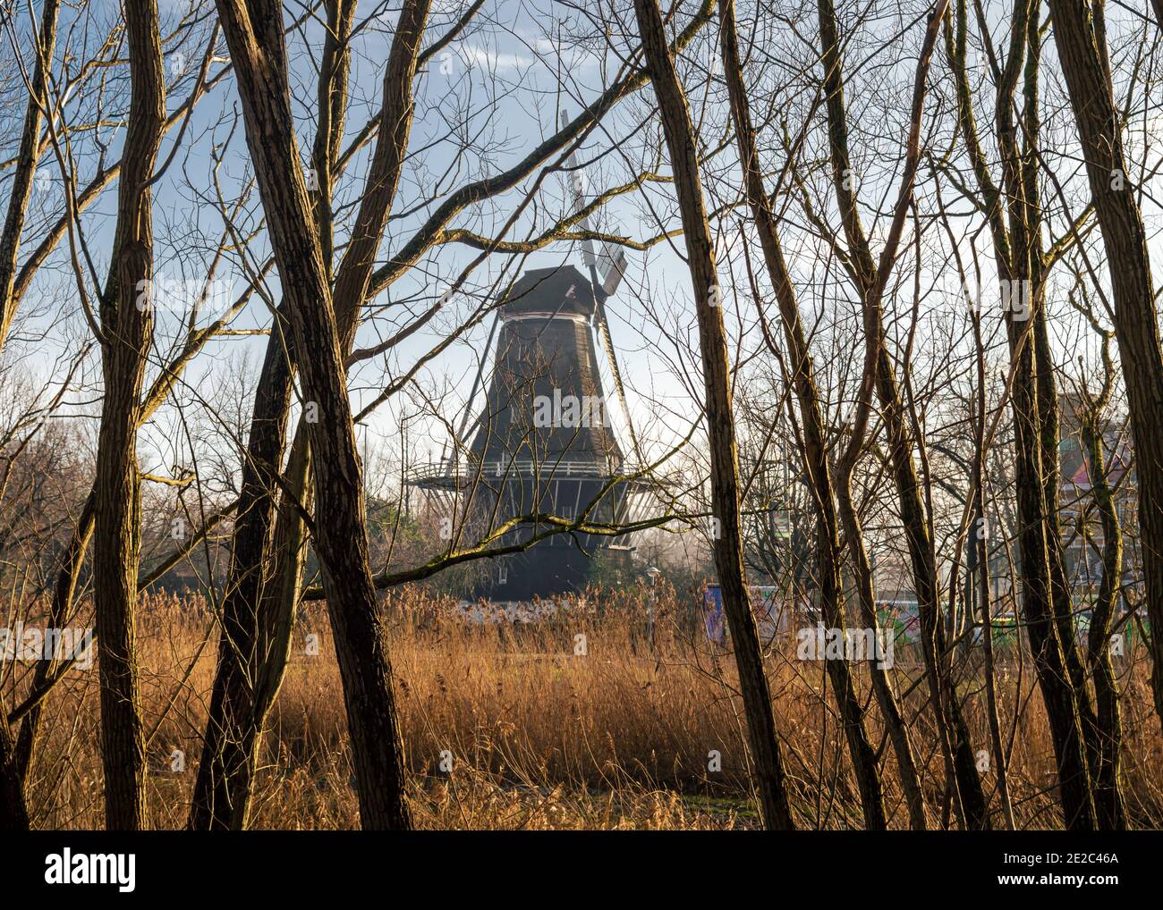 AMSTERDAM, PAESI BASSI, 2 GENNAIO 2021: Mulino a vento olandese sparato attraverso gli alberi durante un freddo ma soleggiato giorno di inverni ad Amsterdam Paesi Bassi Foto Stock