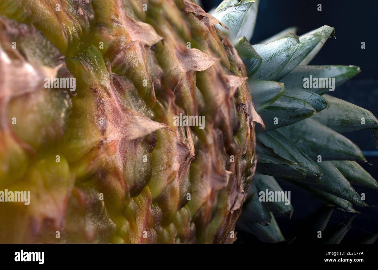 Primo piano di una frutta di ananas dal basso verso l'alto punto di vista Foto Stock