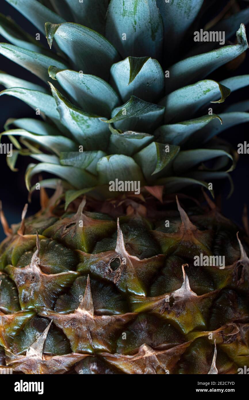Primo piano di un frutto di ananas e la sua forma a corona foglie Foto Stock
