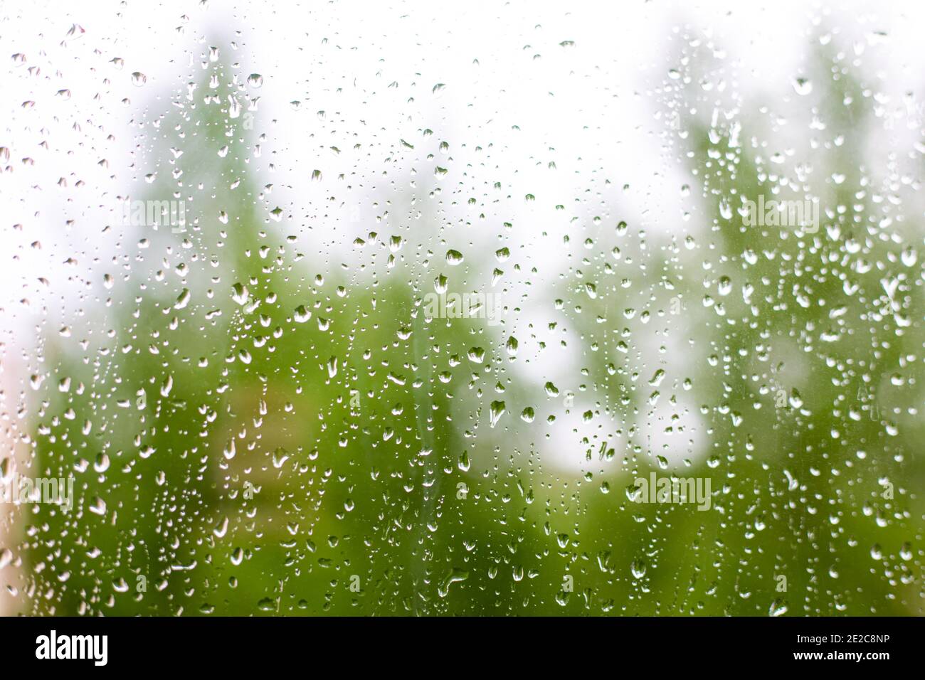 estate rinfrescante pioggia fuori dalla finestra, pioggia sul vetro, alberi verdi sullo sfondo, tempo inclemente, fuoco selettivo Foto Stock