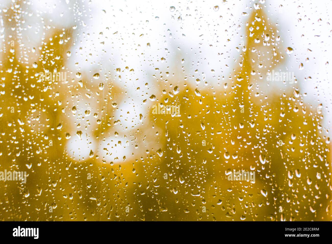 pioggia d'autunno fuori dalla finestra, pioggia sul vetro, alberi gialli sullo sfondo, tempo inclemente, fuoco selettivo Foto Stock