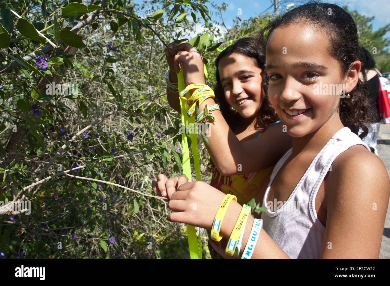 Le bambine che indossano braccialetti con l'iscrizione 'anche i'm Gilad' legano i nastri gialli (simbolo della lotta per liberare Gilad Shalit) negli ulivi della casa della famiglia Shalit a Mitzpe Hita. Migliaia di israeliani erano venuti nel fine settimana alla casa della famiglia di Shalit?s nel piccolo villaggio di Mitzpe Hila nel nord Israele, a expresse là gioia per l'atteso rilascio di Gilad Shalit martedì prossimo, 15 ottobre 2011. La famiglia del soldato dell'IDF rapito Gilad Shalit, è arrivata mercoledì sera a casa loro dopo aver lasciato il sito di protesta in cui erano stati accampati a Gerusalemme. Israele e Hama Foto Stock