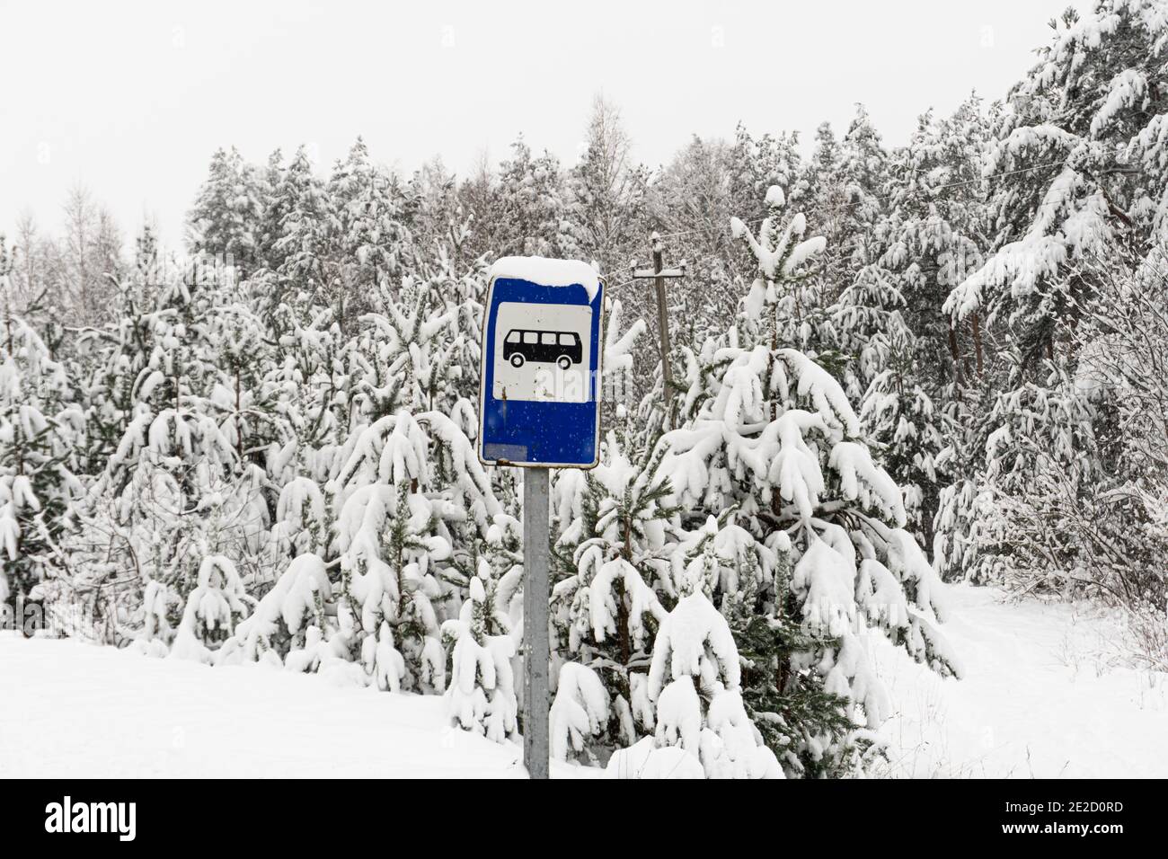 Segnale stradale fermata bus in inverno in un villaggio lontano e pini innevati con cielo nuvoloso Foto Stock