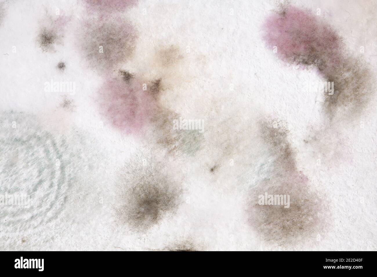 Stampo nero e fungo sul muro di casa. Muffa sul soffitto - il problema  della ventilazione, umidità, freddo in appartamento Foto stock - Alamy