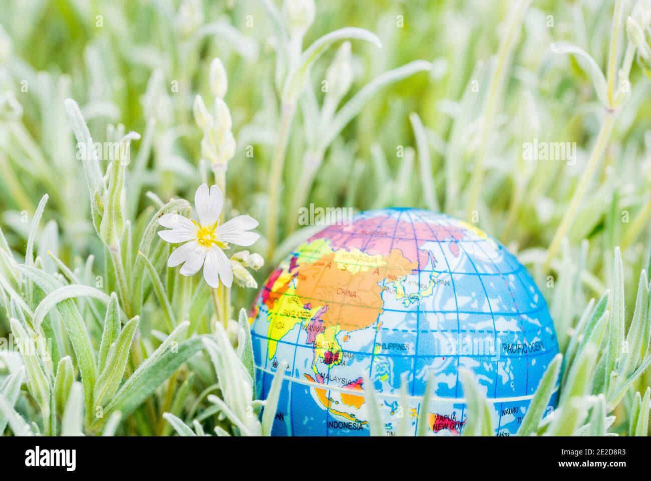 globo sull'erba. Salvare la natura. Ambiente. Aprile 22 giornata della terra tema.Summer concetto di ecologia e salvare il pianeta Foto Stock