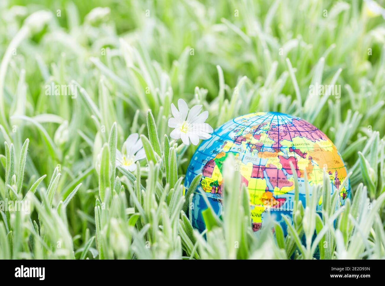 globo sull'erba. Salvare la natura. Ambiente. Aprile 22 giornata della terra tema.Summer concetto di ecologia e salvare il pianeta Foto Stock