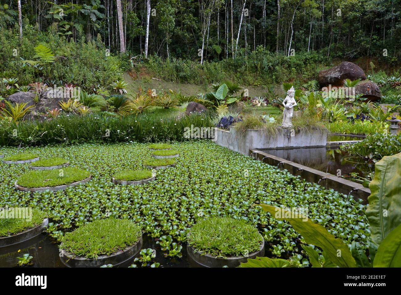 Parco esterno con giardino Foto Stock