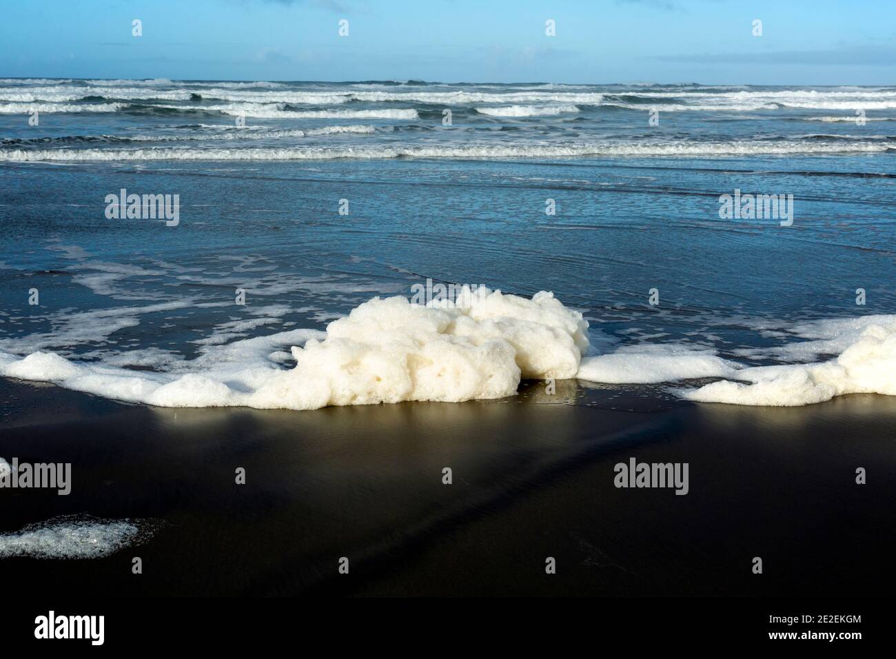 WA19118-00...WASHINGTON - schiuma di mare lavata su Long Beach dopo una tempesta. Foto Stock