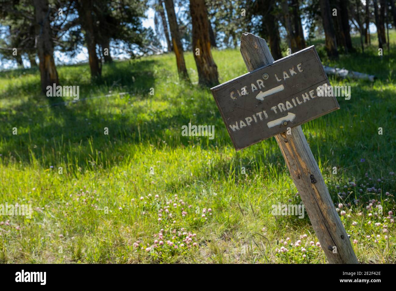 Clear Lake e Wapiti Trailhead Tilted Sign in Yellowstone National Parcheggio Foto Stock