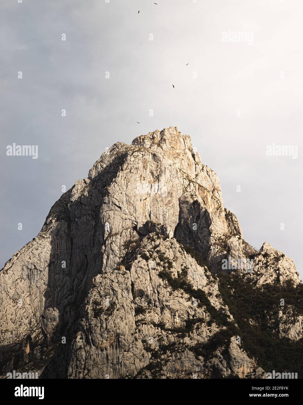 Cima di una montagna rocciosa con uccelli che volano sopra in Asturie, Spagna Foto Stock