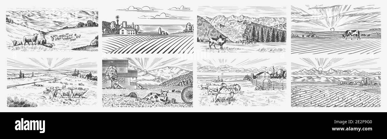 Prato rurale set. Un paesaggio di villaggio con mucche, capre e agnello, colline e una fattoria. Vista panoramica sulla campagna. Schizzo inciso disegnato a mano. Vintage Illustrazione Vettoriale