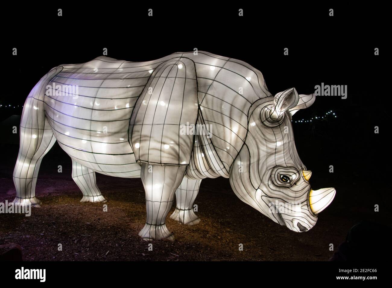Esposizione di luce dello zoo di Rhinoceros Foto Stock