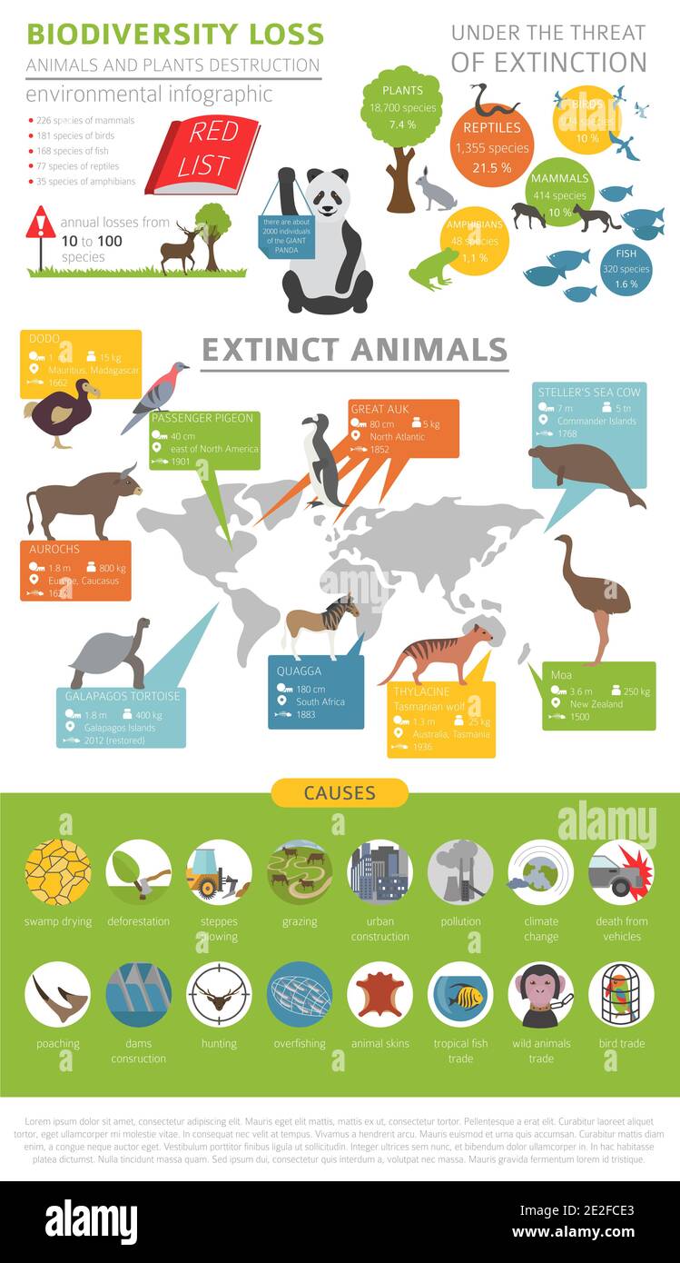 Problemi ambientali globali. Infografica sulla perdita di biodiversità. Animali e uccelli. Illustrazione vettoriale Illustrazione Vettoriale