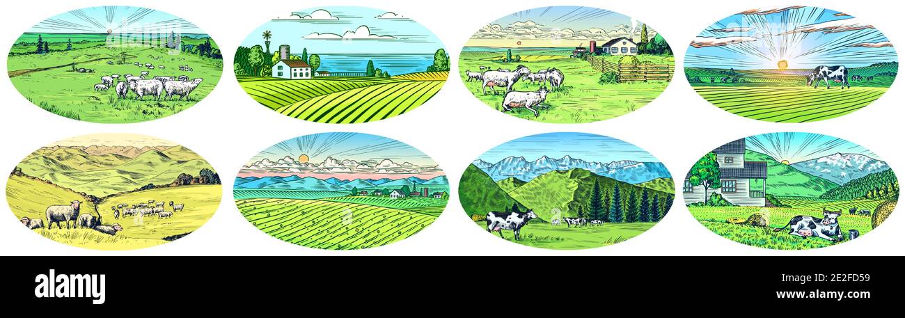 Prato rurale set. Un paesaggio di villaggio con mucche, capre e agnello, colline e una fattoria. Vista panoramica sulla campagna. Schizzo inciso disegnato a mano. Vintage Illustrazione Vettoriale