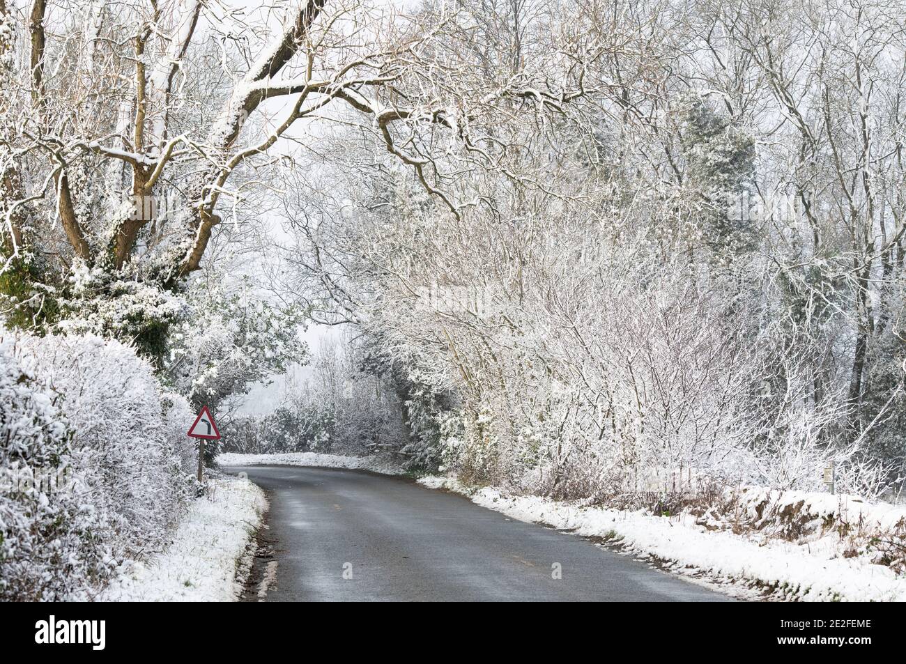 Neve coperta strada alberata nel mese di dicembre. Vicino a Chipping Campden, Cotswolds, Gloucestershire, Inghilterra Foto Stock