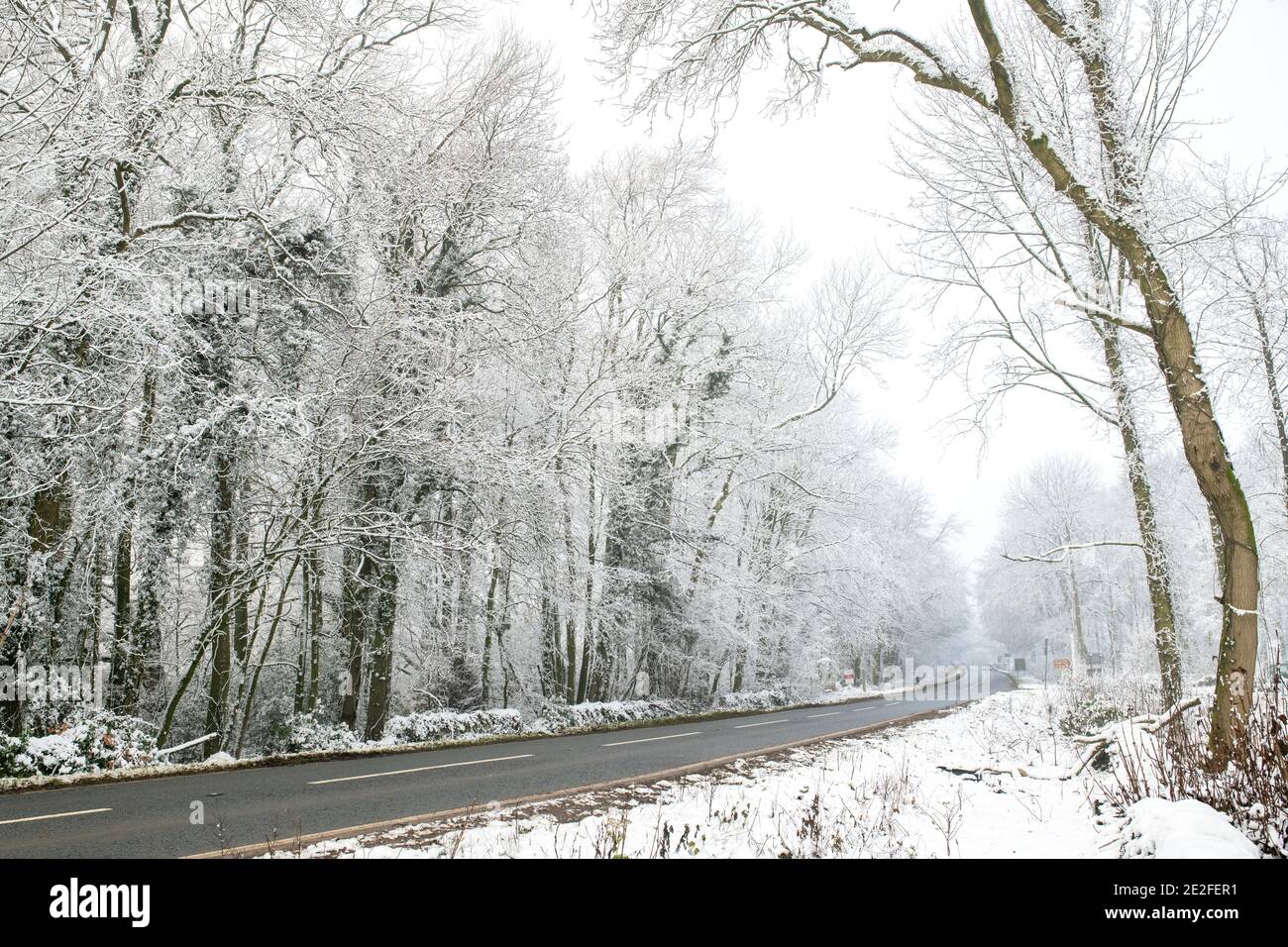 Neve coperta strada alberata nel mese di dicembre. Vicino a Chipping Campden, Cotswolds, Gloucestershire, Inghilterra Foto Stock