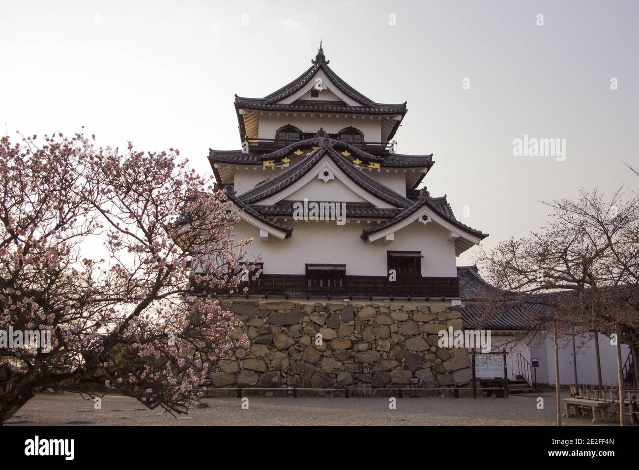 Vista ad angolo basso del bellissimo Castello Hikone situato in Giappone Foto Stock