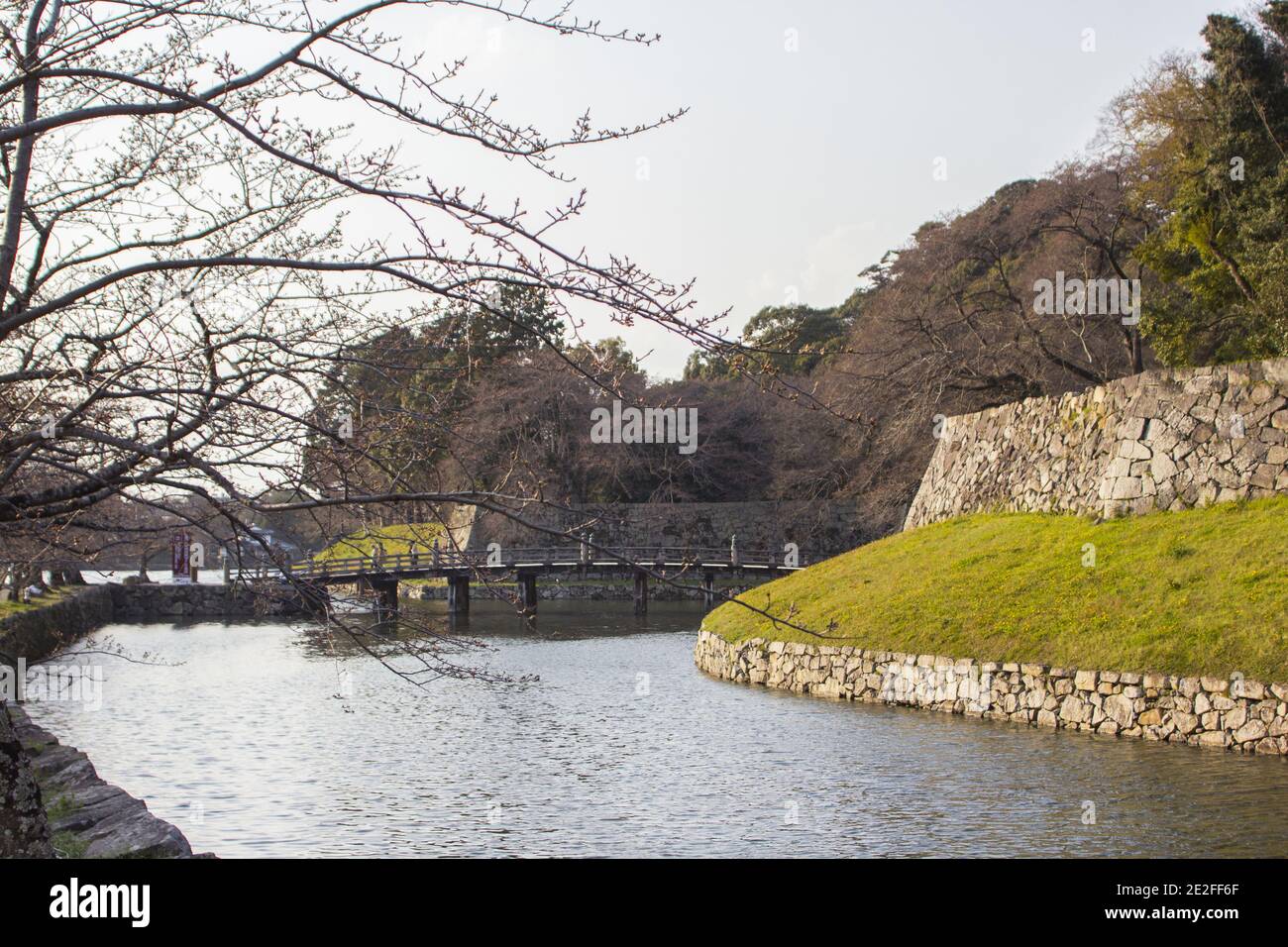 Splendida vista sul fiume e sul ponte del Castello di Hikone, Giappone Foto Stock