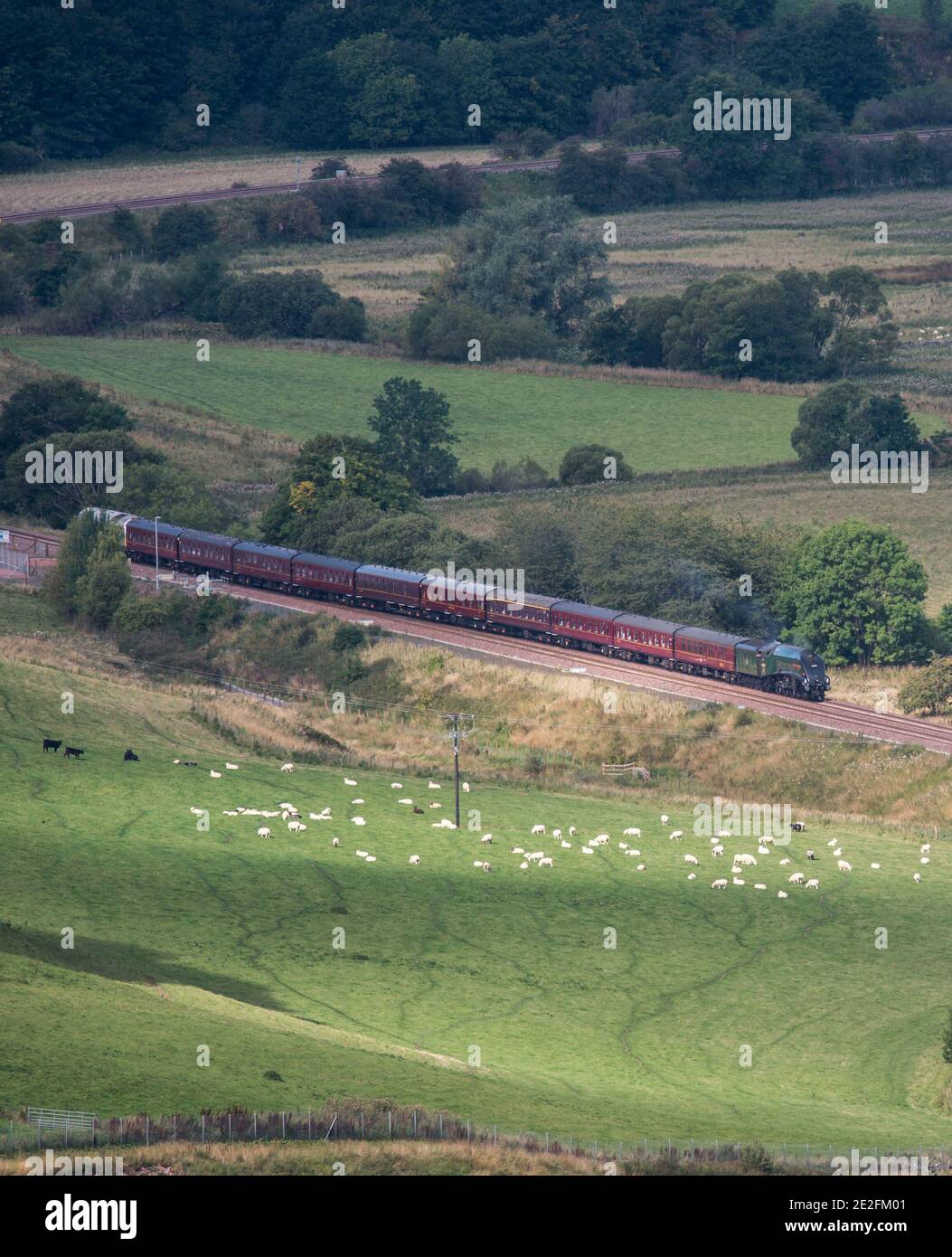 Il servizio di treno a vapore si avvicina a Stow ai confini scozzesi oggi , poiché la nuova ferrovia delle frontiere beneficia dei servizi turistici di treno a vapore che RU Foto Stock