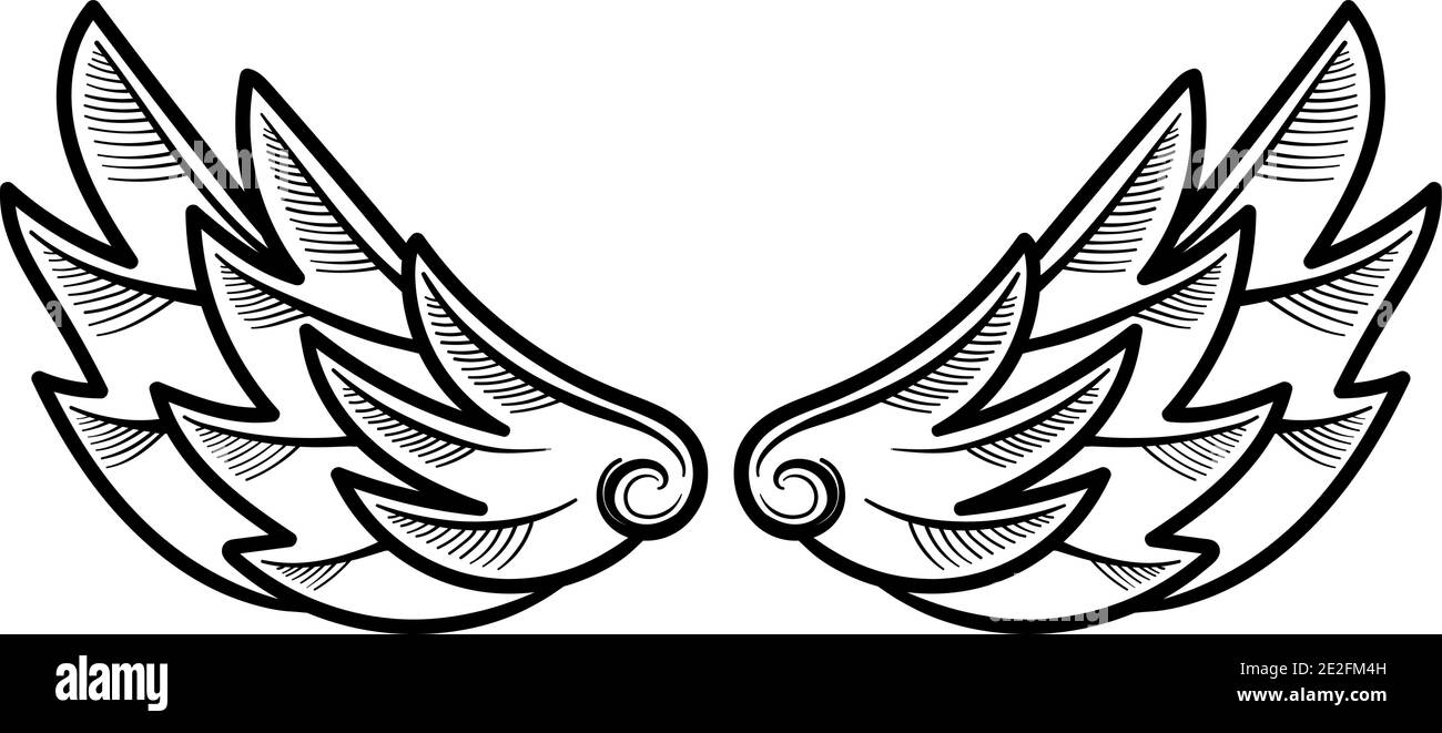 Disegno astratto di ali di uccello o di angelo isolato su bianco.  Illustrazione di doodle Foto stock - Alamy