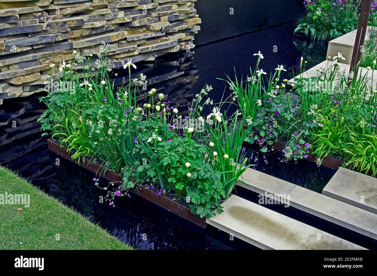 Calma e peceful fiore piantare con acqua caratteristica in un moderno urbano, giardino Foto Stock
