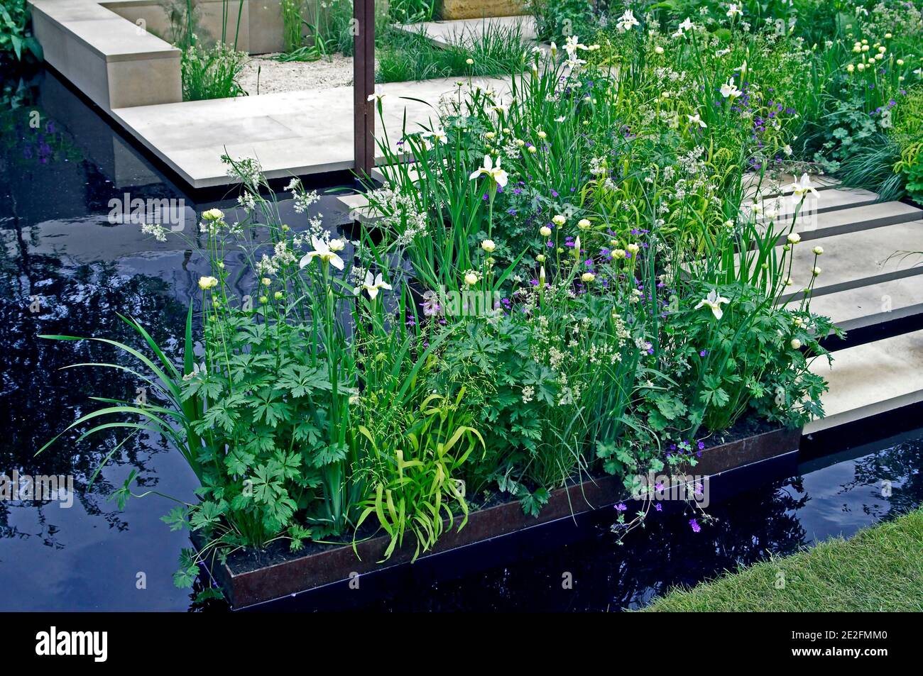 Calma e piantare fiori pacifici con acqua caratteristica in un moderno giardino urbano Foto Stock