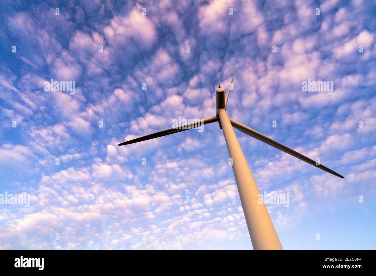 Guardando in alto verso una singola turbina eolica all'alba Foto Stock