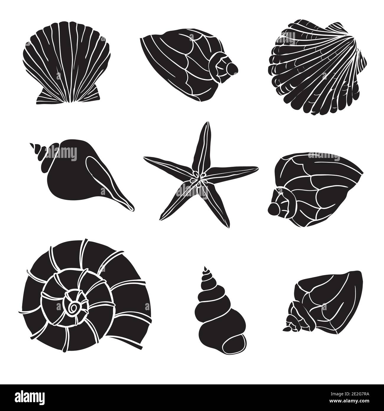 Collezione Shell. Set vettoriale con conchiglie e stelle marine per la progettazione Illustrazione Vettoriale