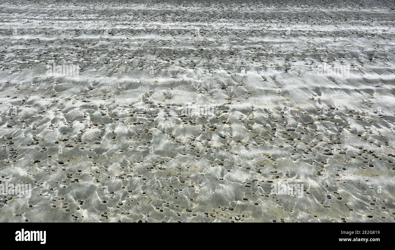 La spiaggia di Lyall Bay, Wellington, Nuova Zelanda Foto Stock