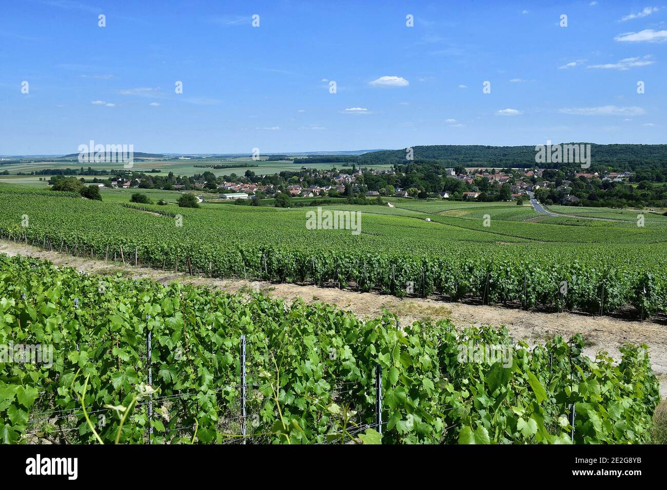 Hermonville (Francia nord-orientale): Il villaggio nel mezzo dei vigneti di Champagne Foto Stock