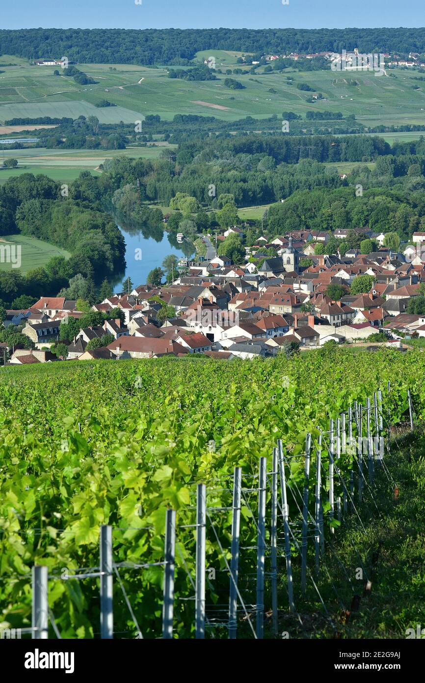 Cumieres (Francia nord-orientale): Panoramica del villaggio sulla riva destra del fiume Marne, nel mezzo di vigneti, in fondo alla mouta Foto Stock