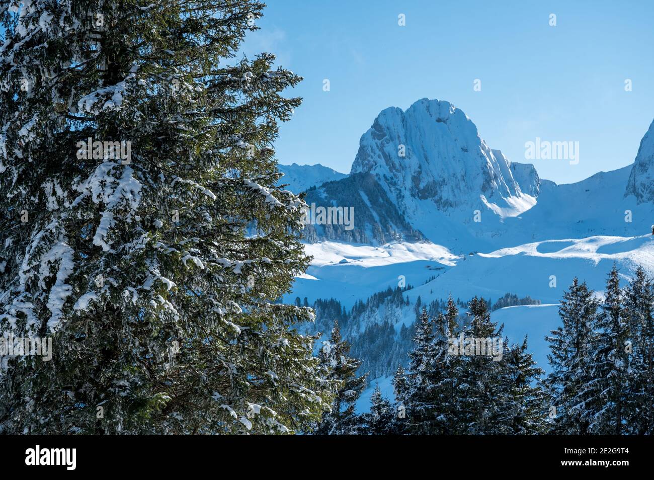 Tempo invernale perfetto in Naturpark Gantrisch con Nüneneflue Foto Stock
