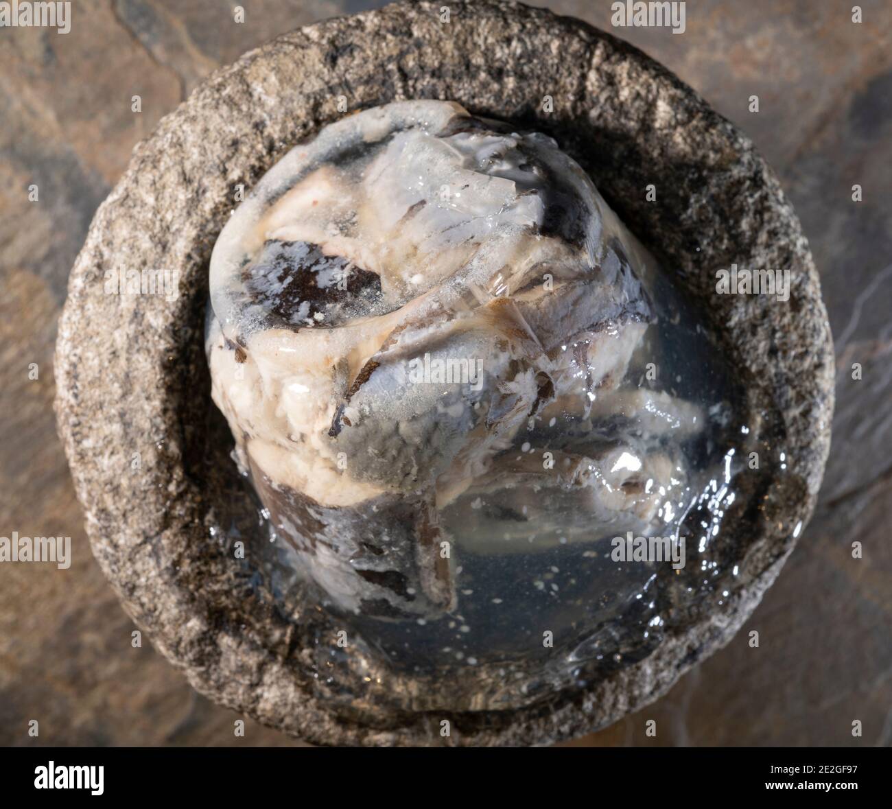 Vasca di granito che serve anguille gelatiniche fresche su un'ardesia sfondo Foto Stock