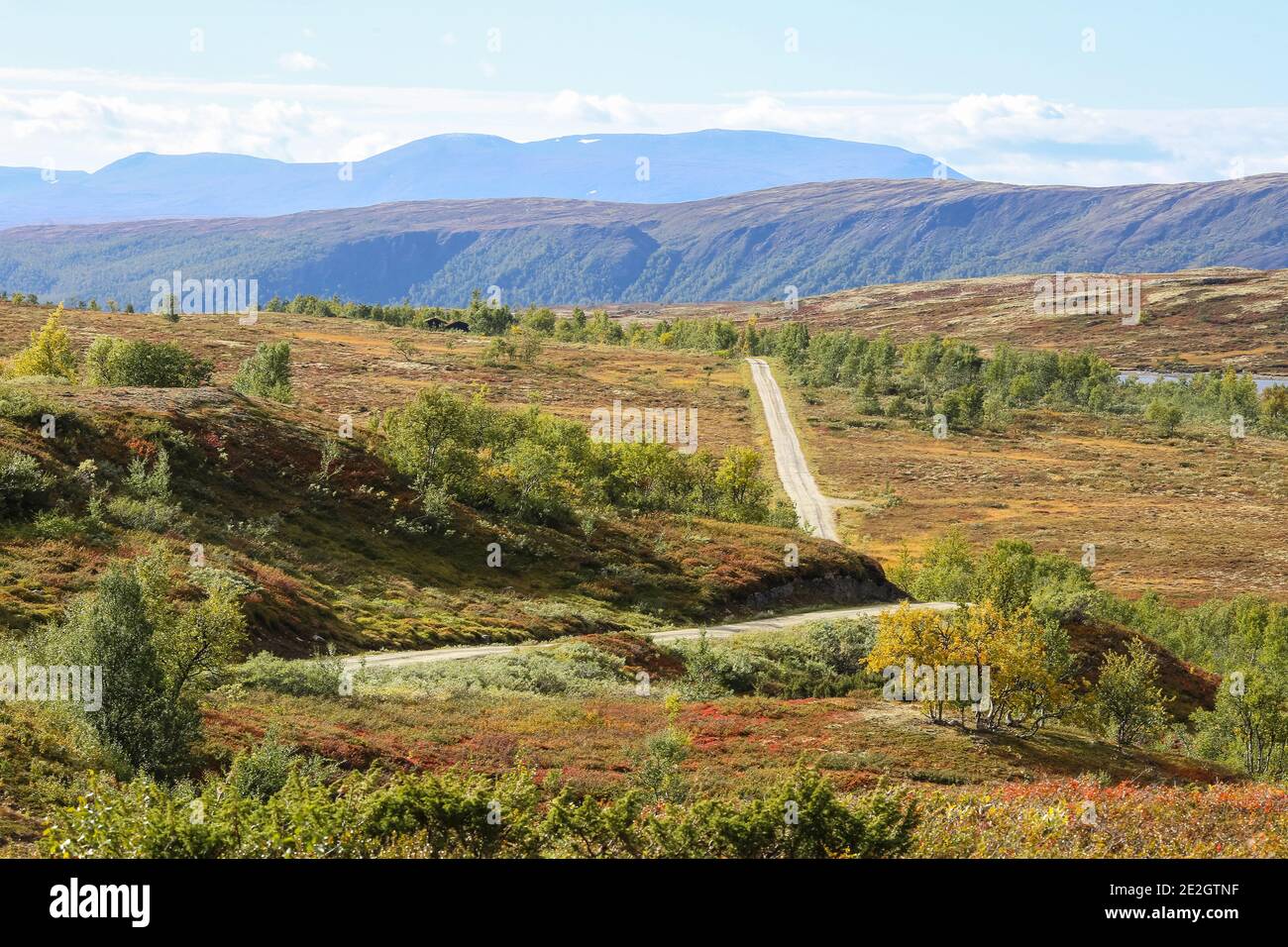 Le montagne nel parco nazionale di Forollhogna sono un luogo popolare caccia in autunno Foto Stock