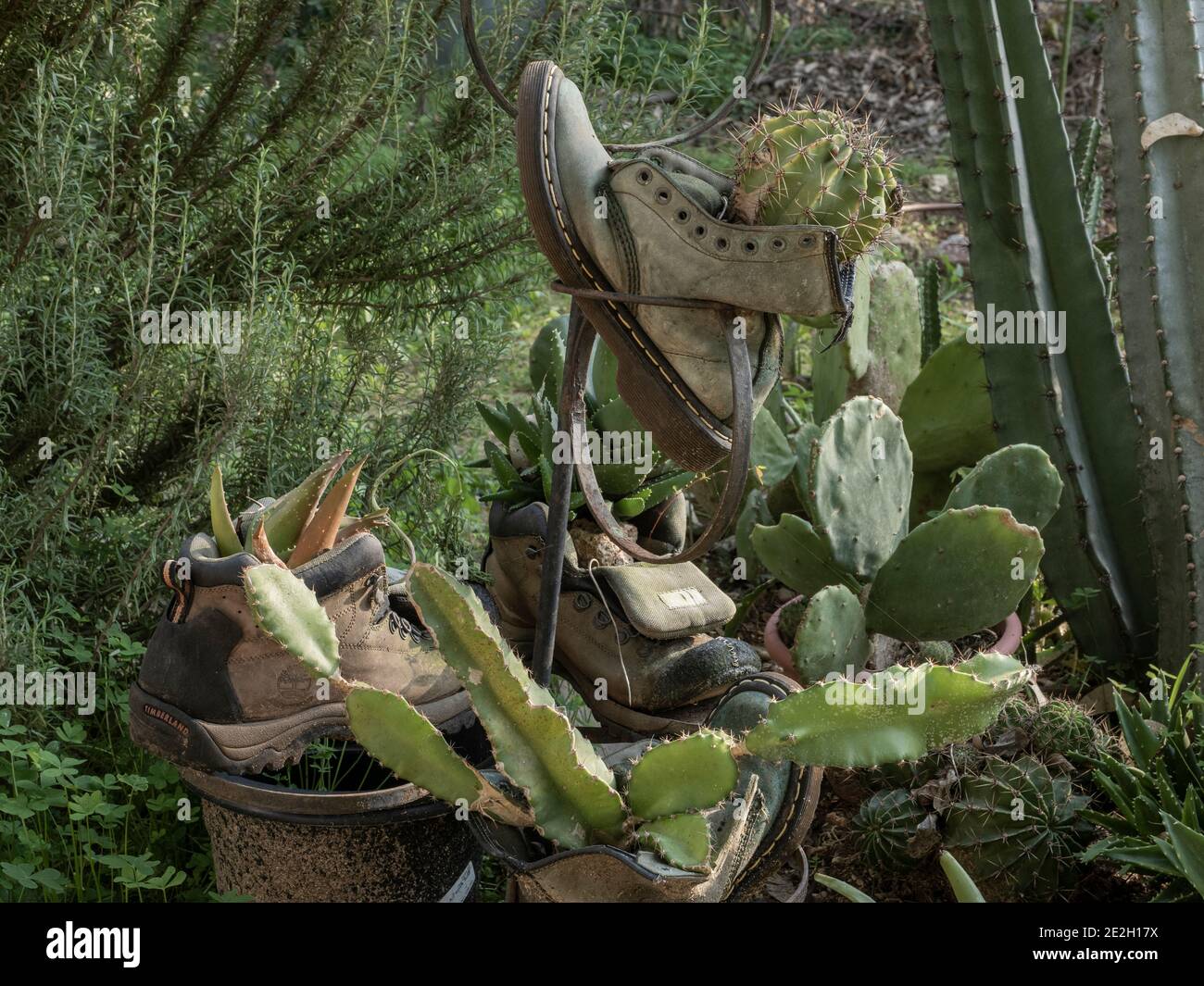 Giardinaggio educativo e comunitario decorato con oggetti riciclati Foto Stock