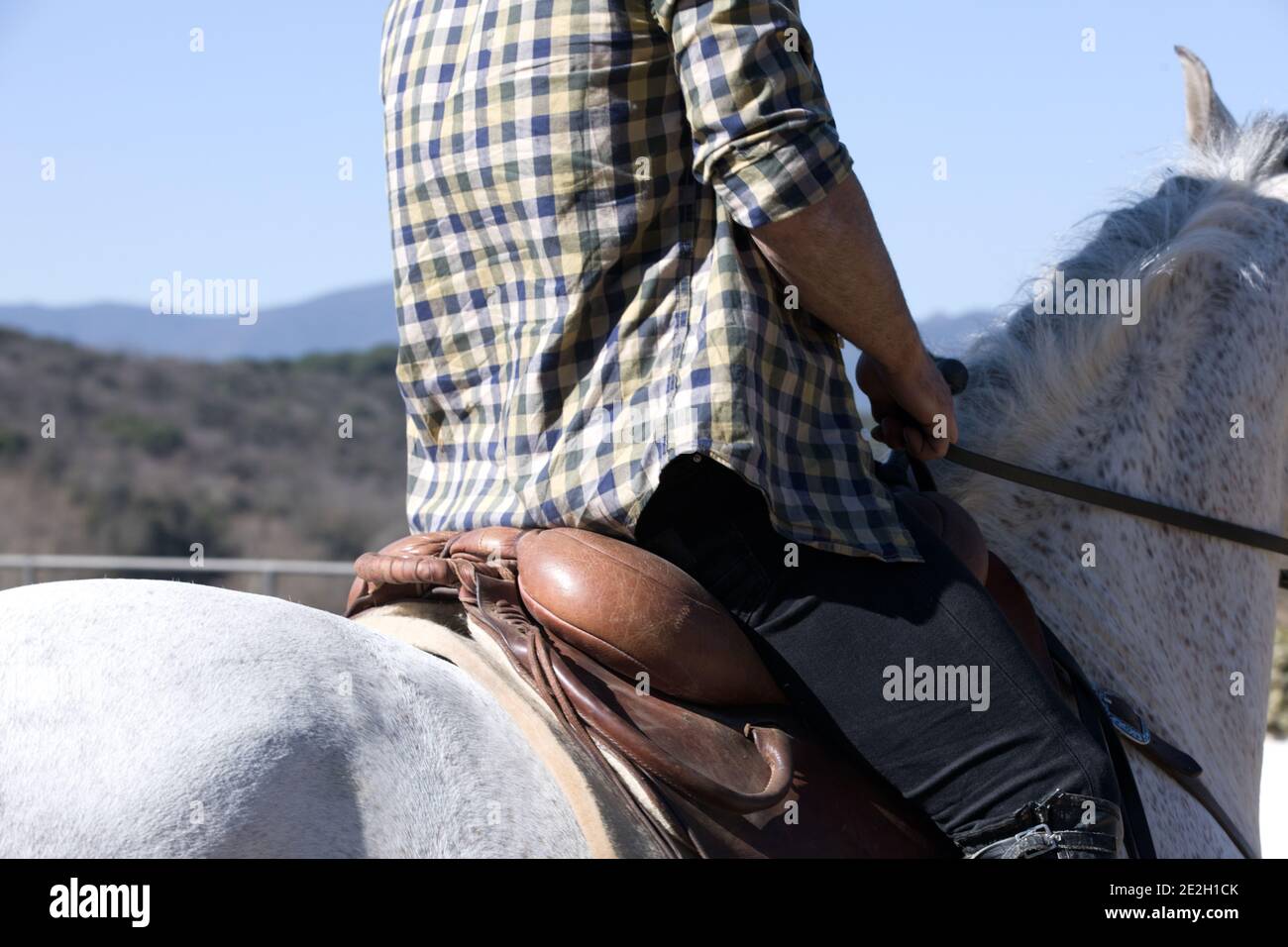 Primo piano di un giovane maschio in abito casual cavalcato bianco cavallo Foto Stock