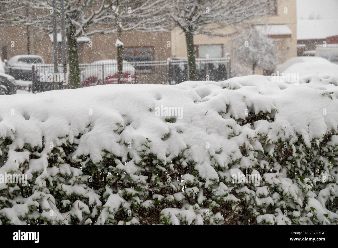 Bradford, West Yorkshire, Regno Unito. 14 gennaio 2021. Dopo una notte bagnata e piovosa, la neve iniziò a cadere a South Bradford intorno ALLE 7:00 e a mezzogiorno c'era una copertura di 4'. La neve è prevista per continuare e sta causando interruzioni del traffico in tutta la contea. Credit: Mick Flicynn/Alamy Live News Foto Stock