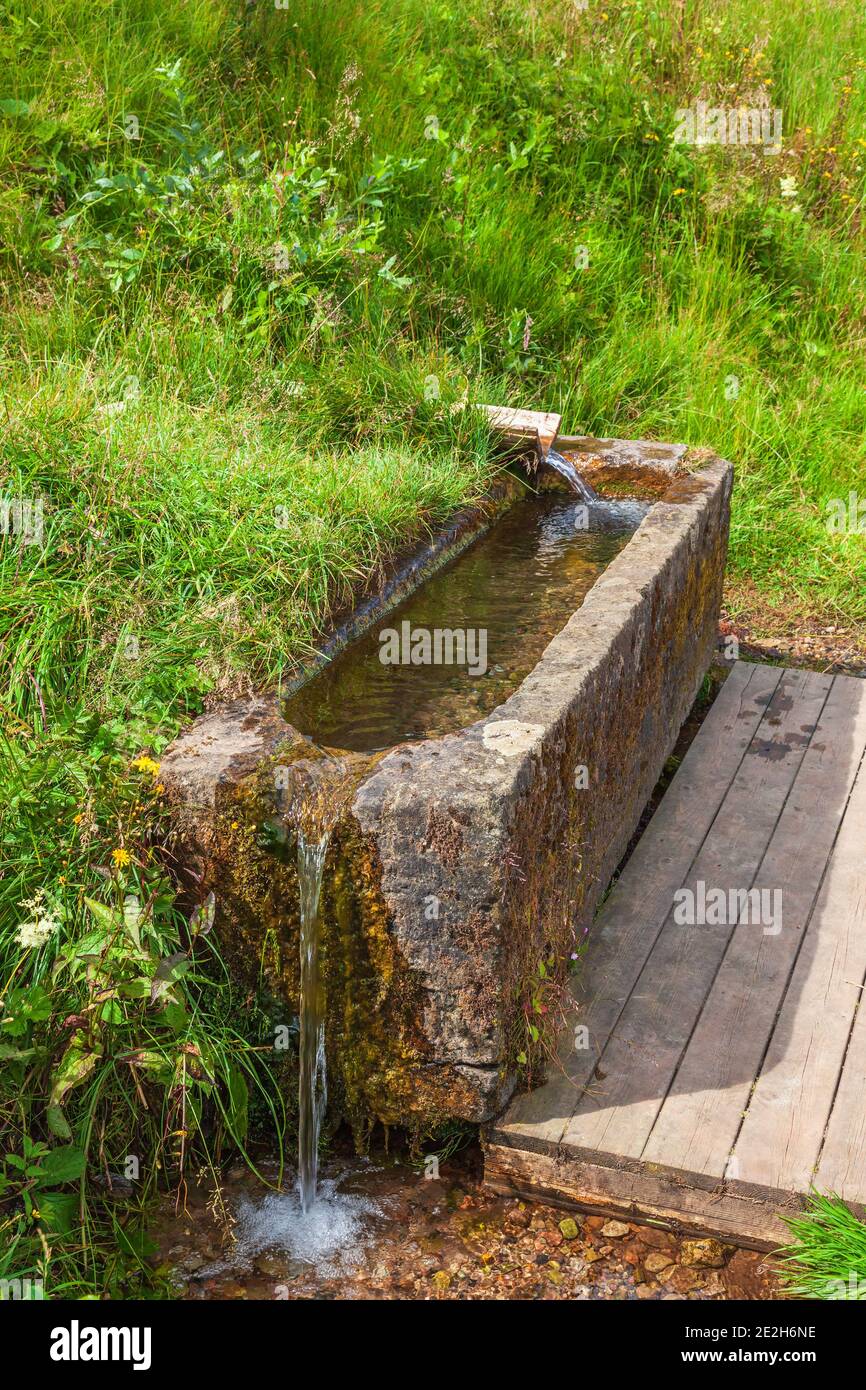 Acqua di sorgente con acqua fredda fresca in una ciotola di pietra Foto Stock