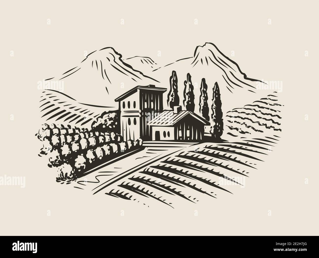 Paesaggio rurale con villa, campi di vigneto. Illustrazione vettoriale dello schizzo per l'etichetta Illustrazione Vettoriale