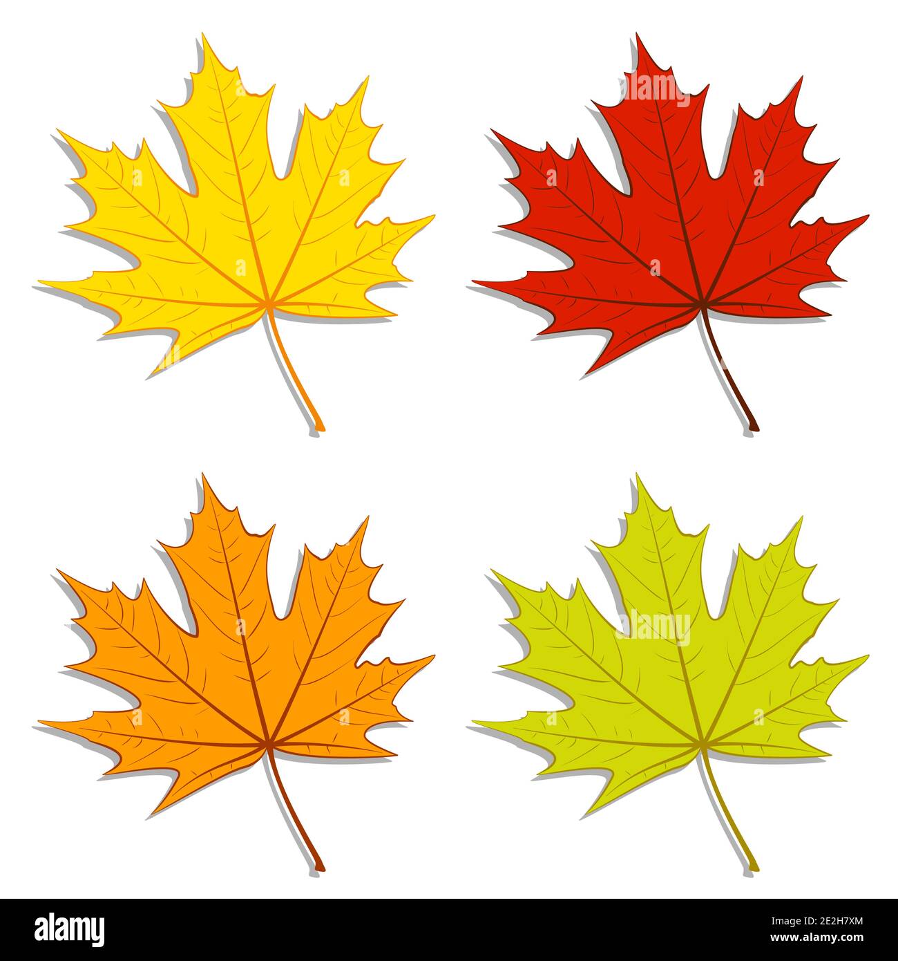 Foglie di acero Illustrazione Vettoriale
