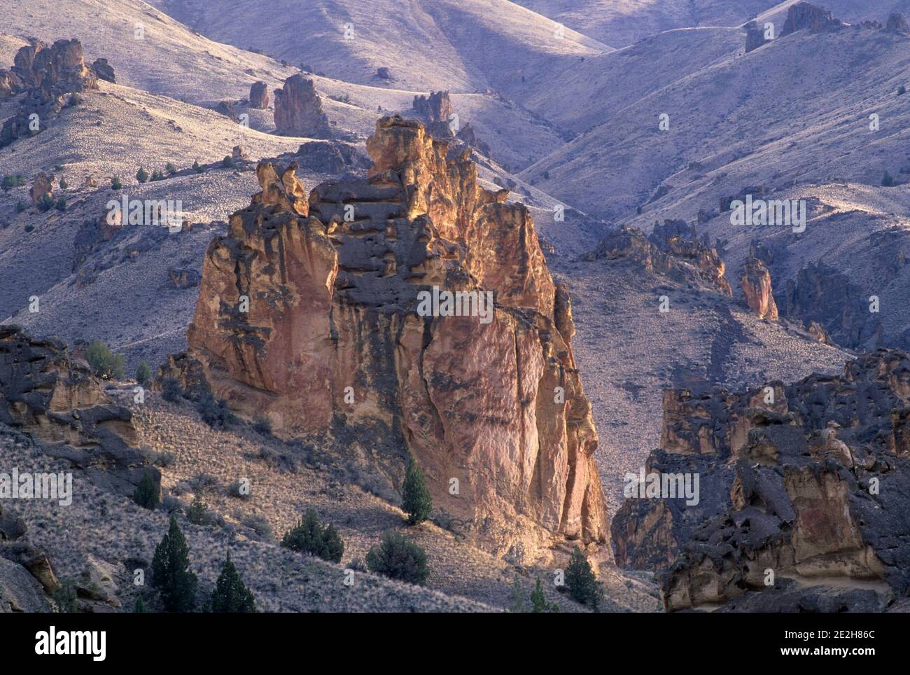 Affioramento a Juniper Gulch, zona di studio della natura selvaggia dei nidi d'ape, area di Leslie Gulch di preoccupazione ambientale critica, Oregon Foto Stock