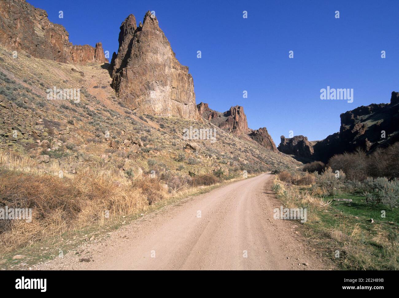 Succor Creek Road, Succor Creek state Park, Oregon Foto Stock