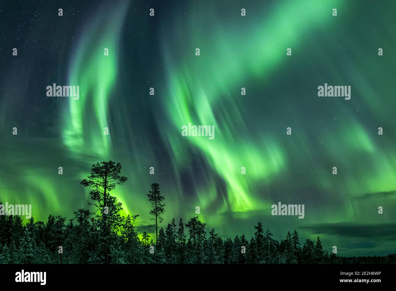 Northern Lights / Aurora borealis, fenomeno meteorologico che mostra luce naturale su Jokkmokk in inverno, Norrbotten County, Lapponia, Svezia Foto Stock