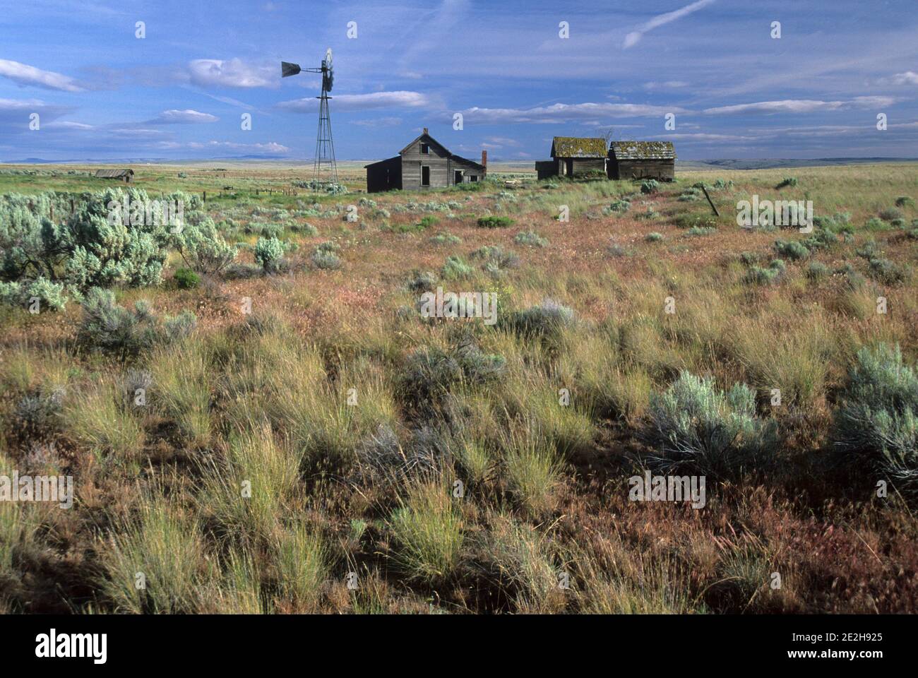 Homestead, viaggio attraverso il tempo National Scenic Byway, Sherman County, Oregon Foto Stock