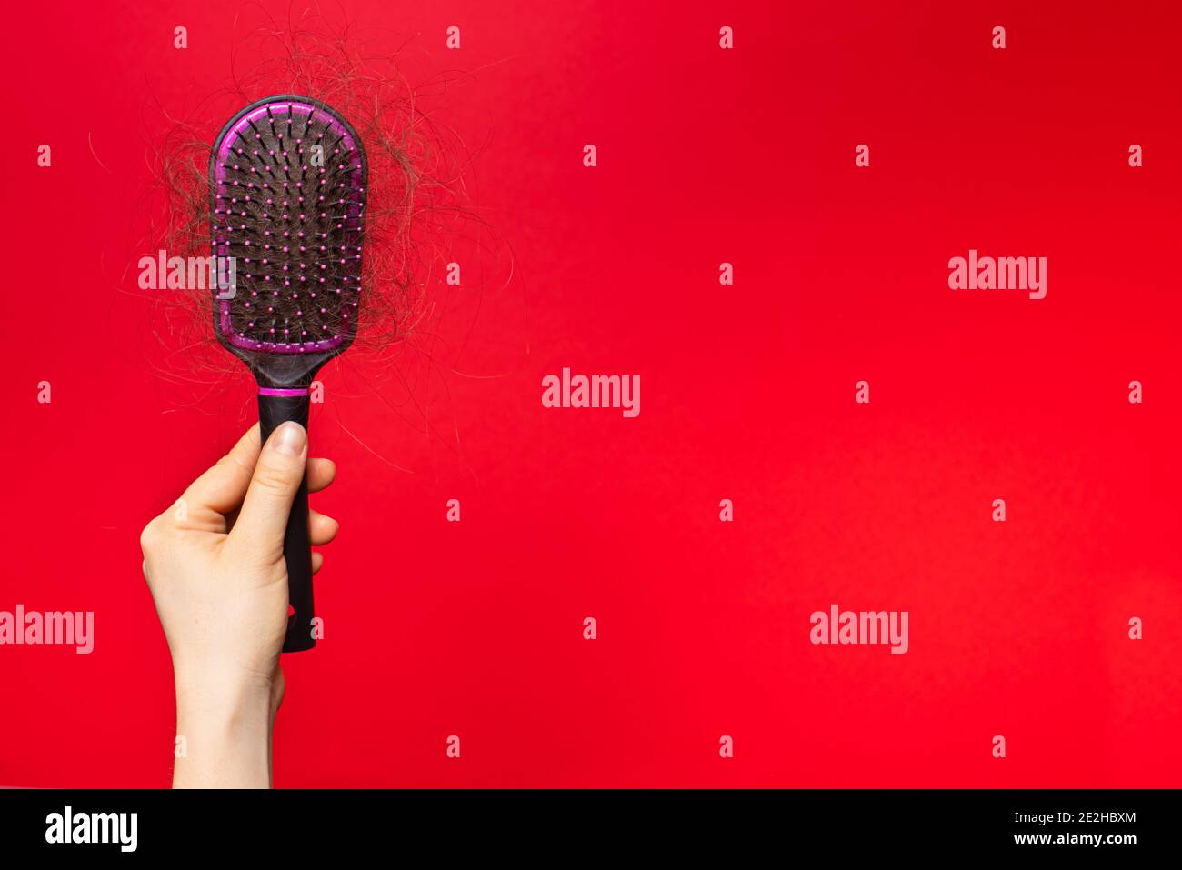 Una mano umana con capelli caduti su sfondo rosso. Perdita dei capelli, cura dei capelli in tichology. Spazio di copia per il testo. Foto Stock