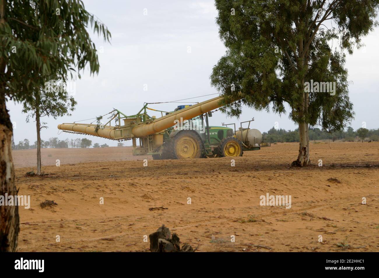 Spray contro sciami di locuste nel deserto Foto Stock