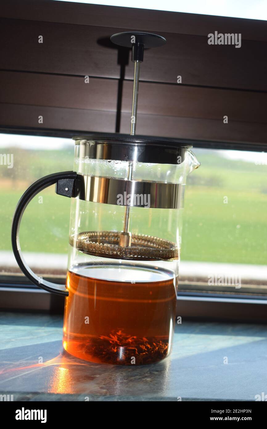 French press tea Foto Stock