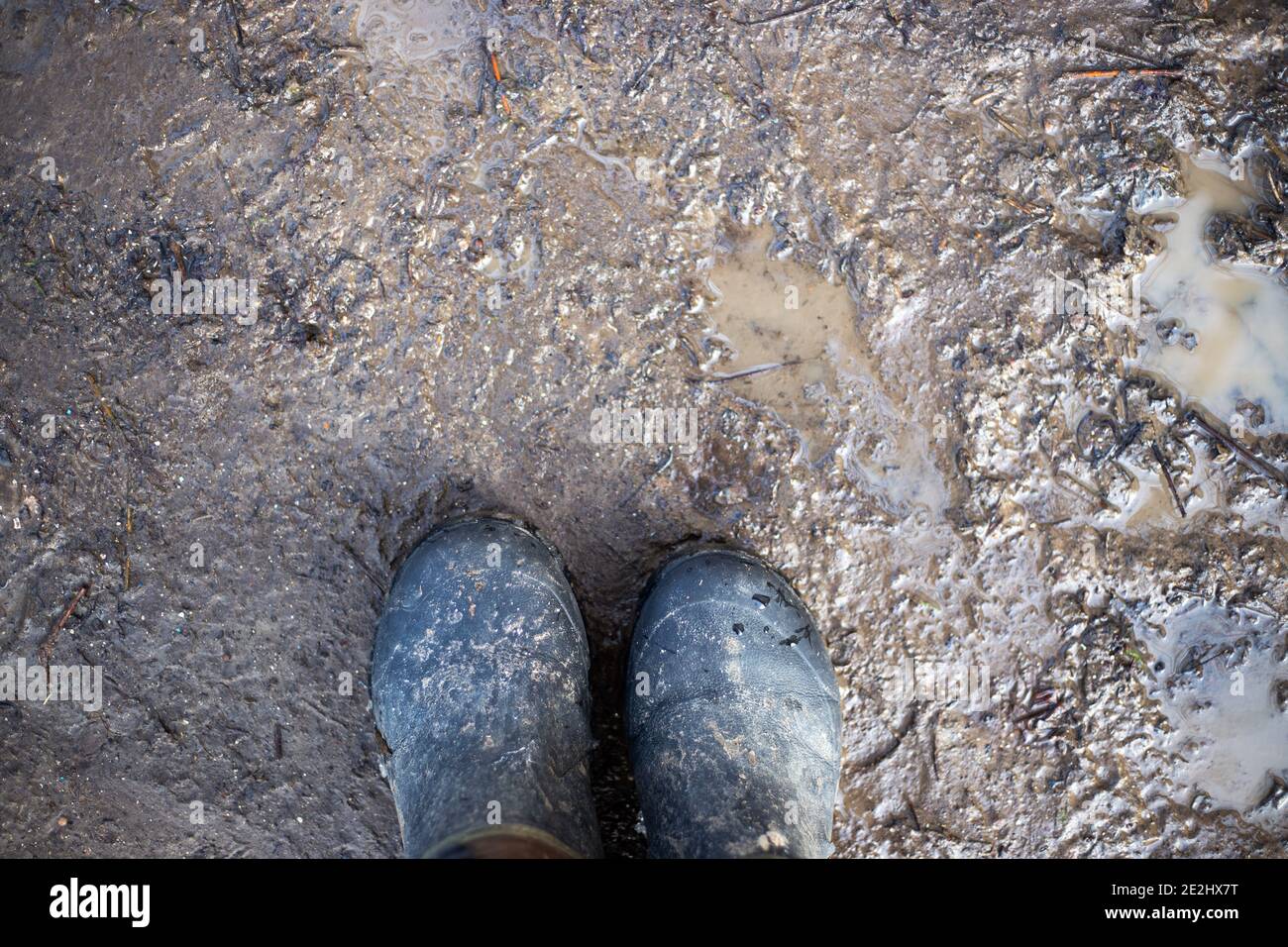 copriscarpe in gomma sporca sul terreno dopo la pioggia. Vita in campagna. Foto Stock