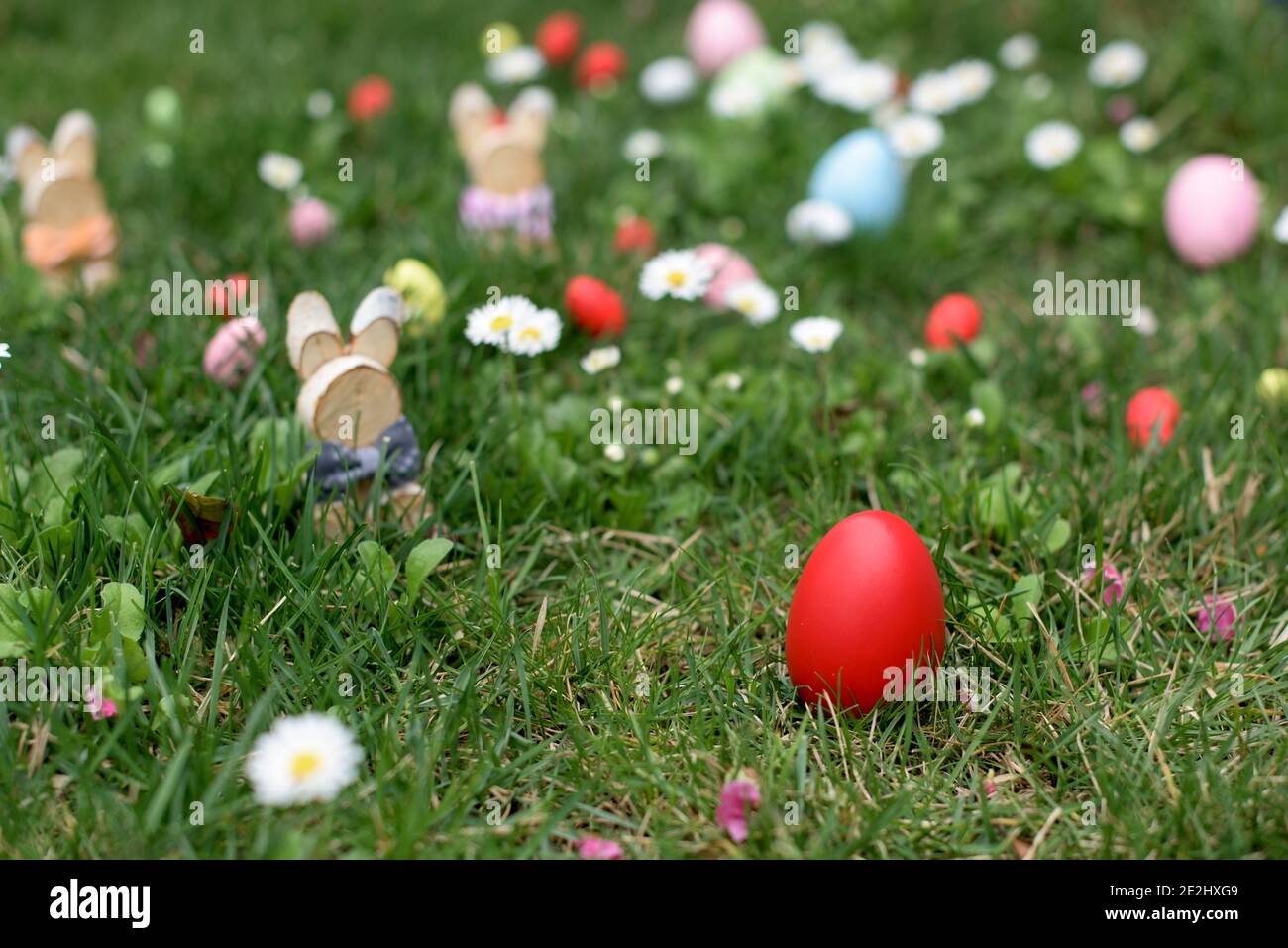 Uovo rosso di gallina di Pasqua in erba verde - Pasqua caccia Foto Stock